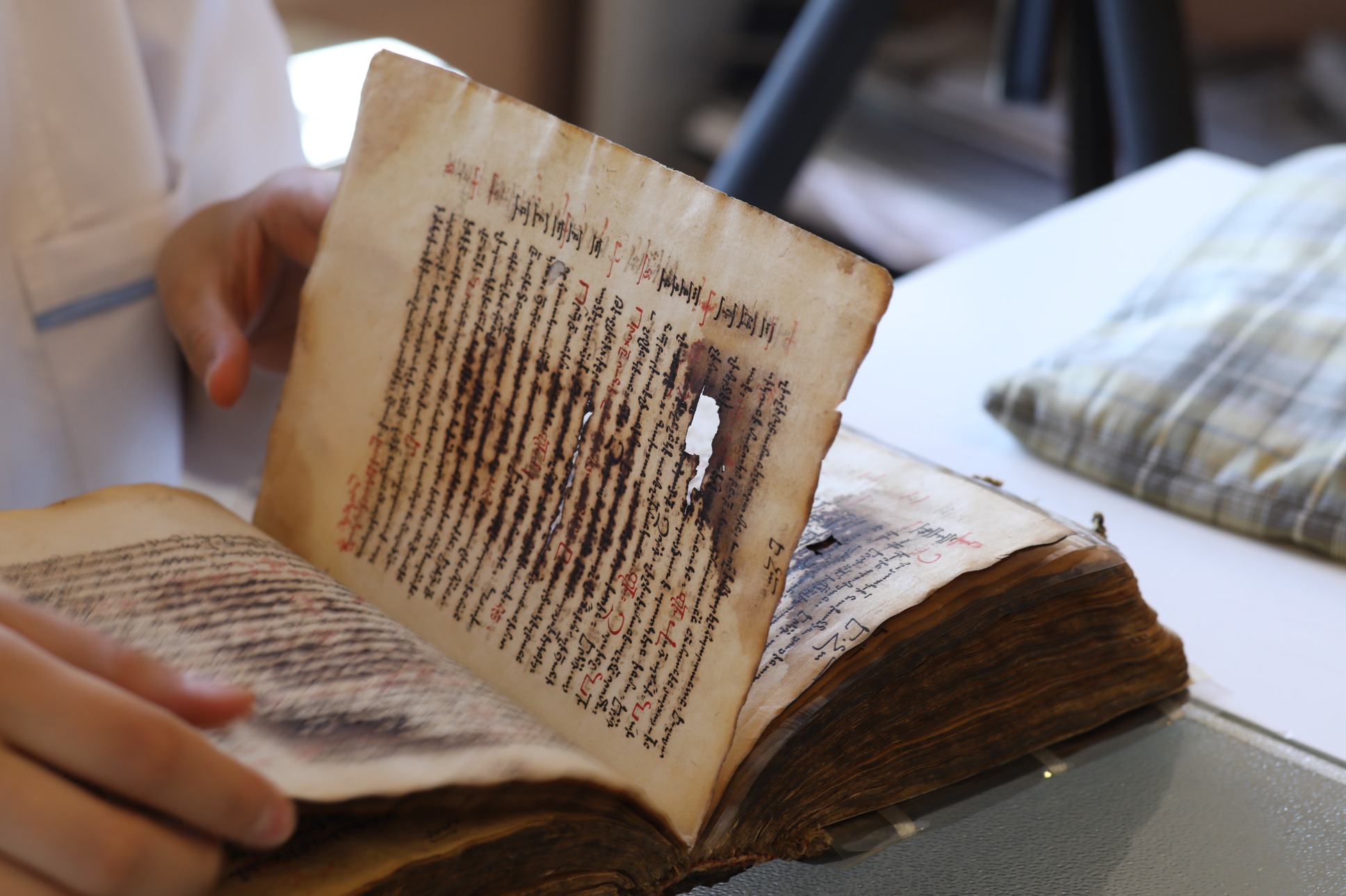 Shubigi Rao, Film still from Talking Leaves, 2022. © Shubigi Rao