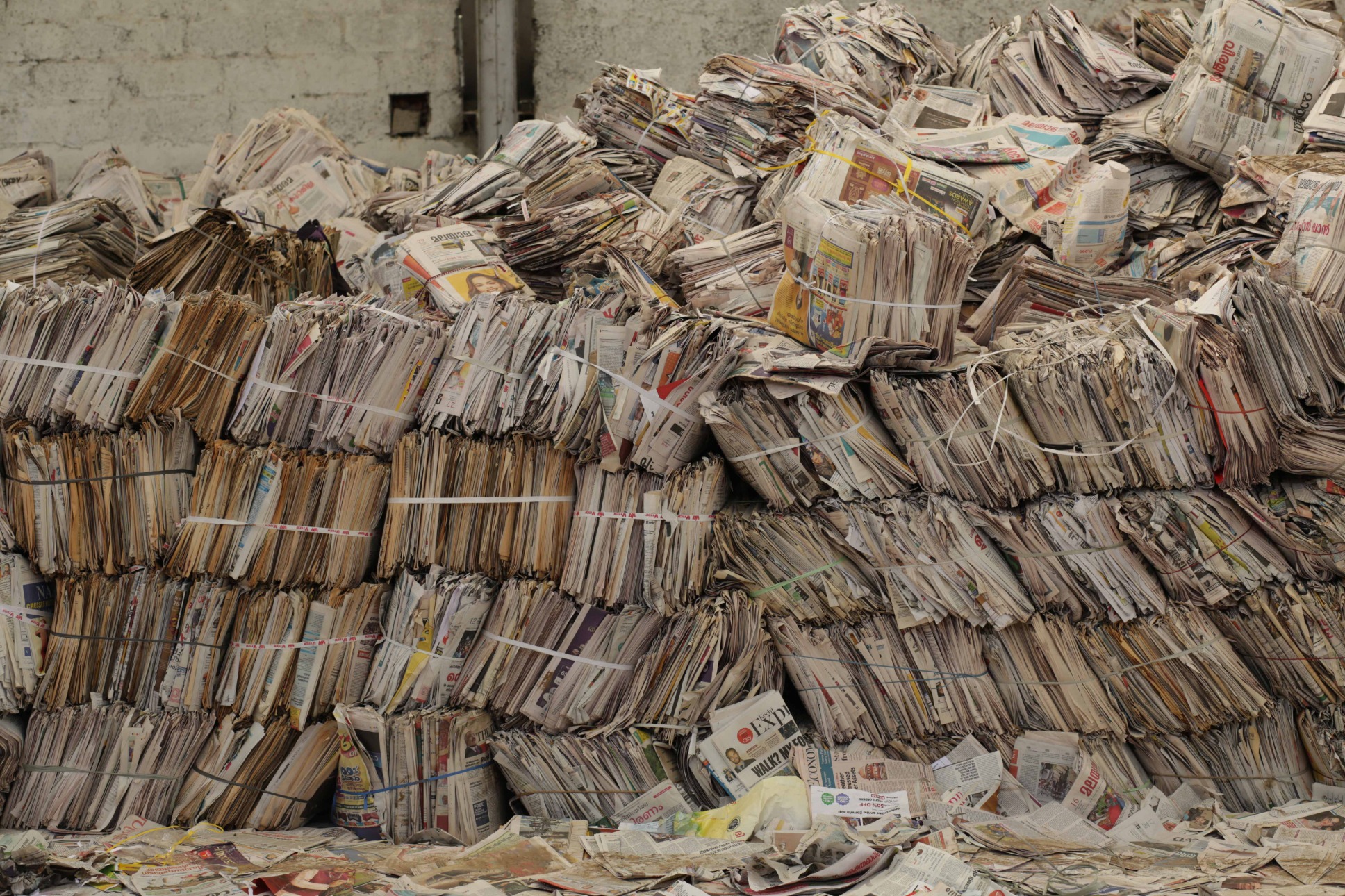 Shubigi Rao, photographs, The Pelagic Tracts, 2018. © Shubigi Rao