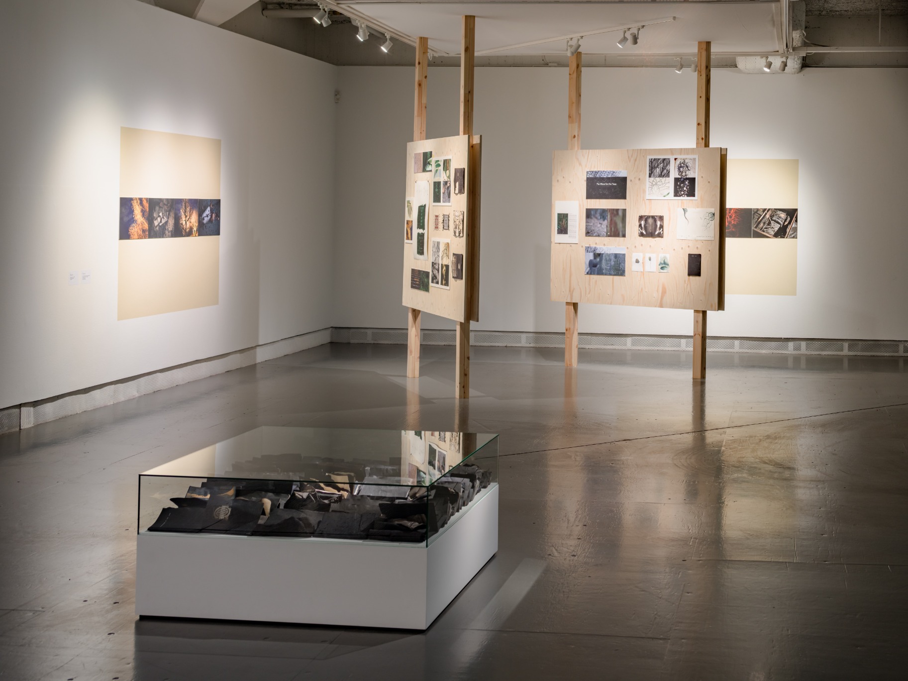 Installation view from the exhibition Pulp I—IV
